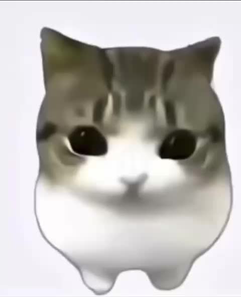 @bug