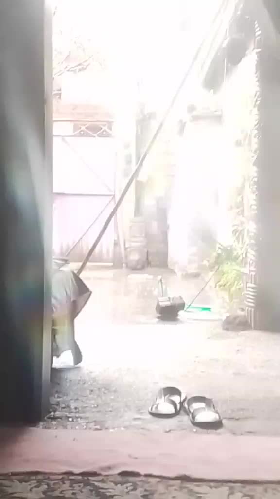 @nomirajpoot203