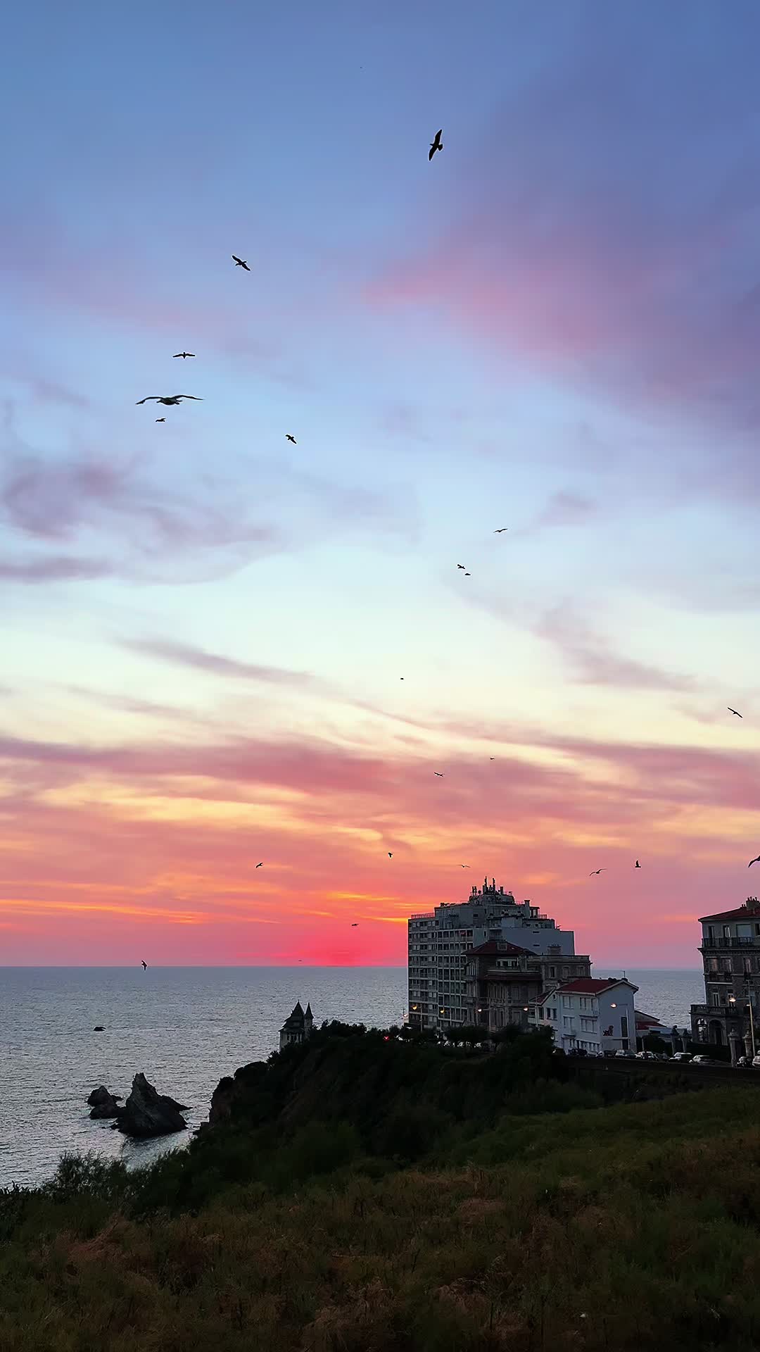 @Dinattigi 🌞