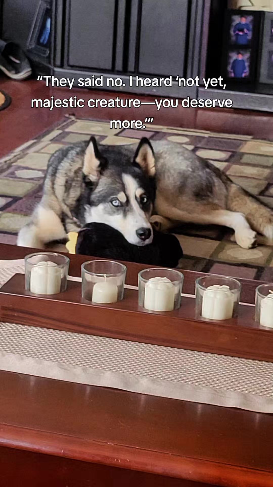 @the Hussey Husky ❌️