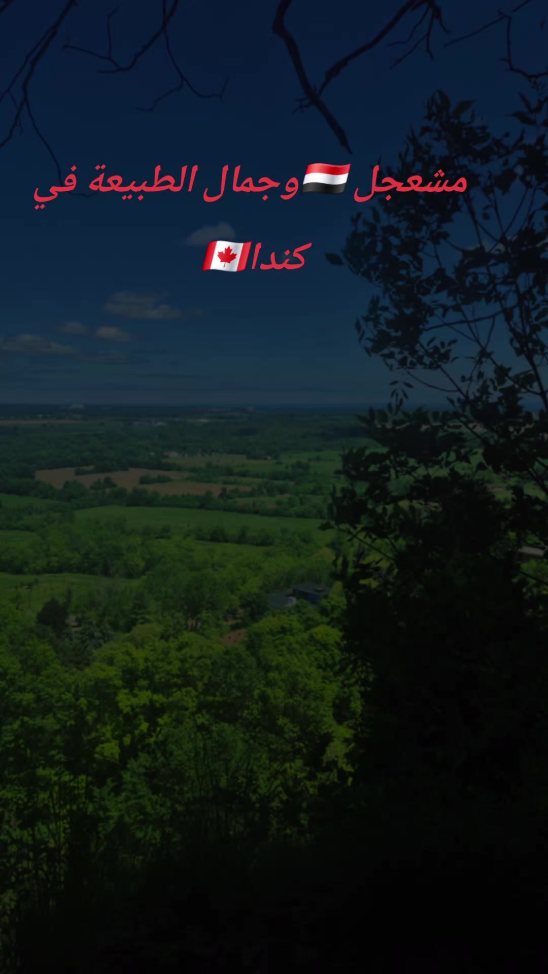 @مايا 🇾🇪🇨🇦