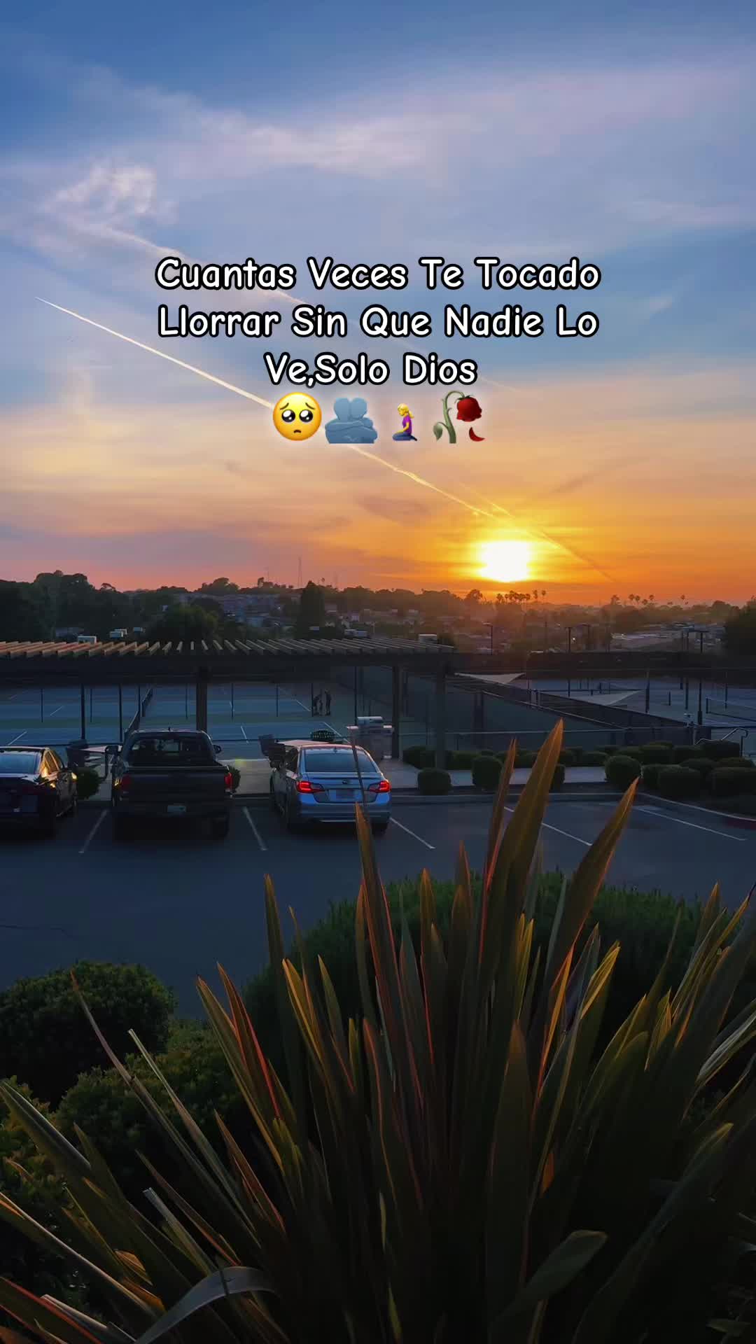 @🎶Músicas👑Cristianas🎶