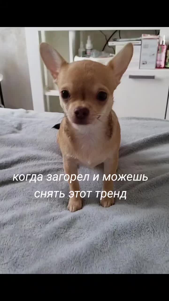 @✮︎AAAАА✮︎