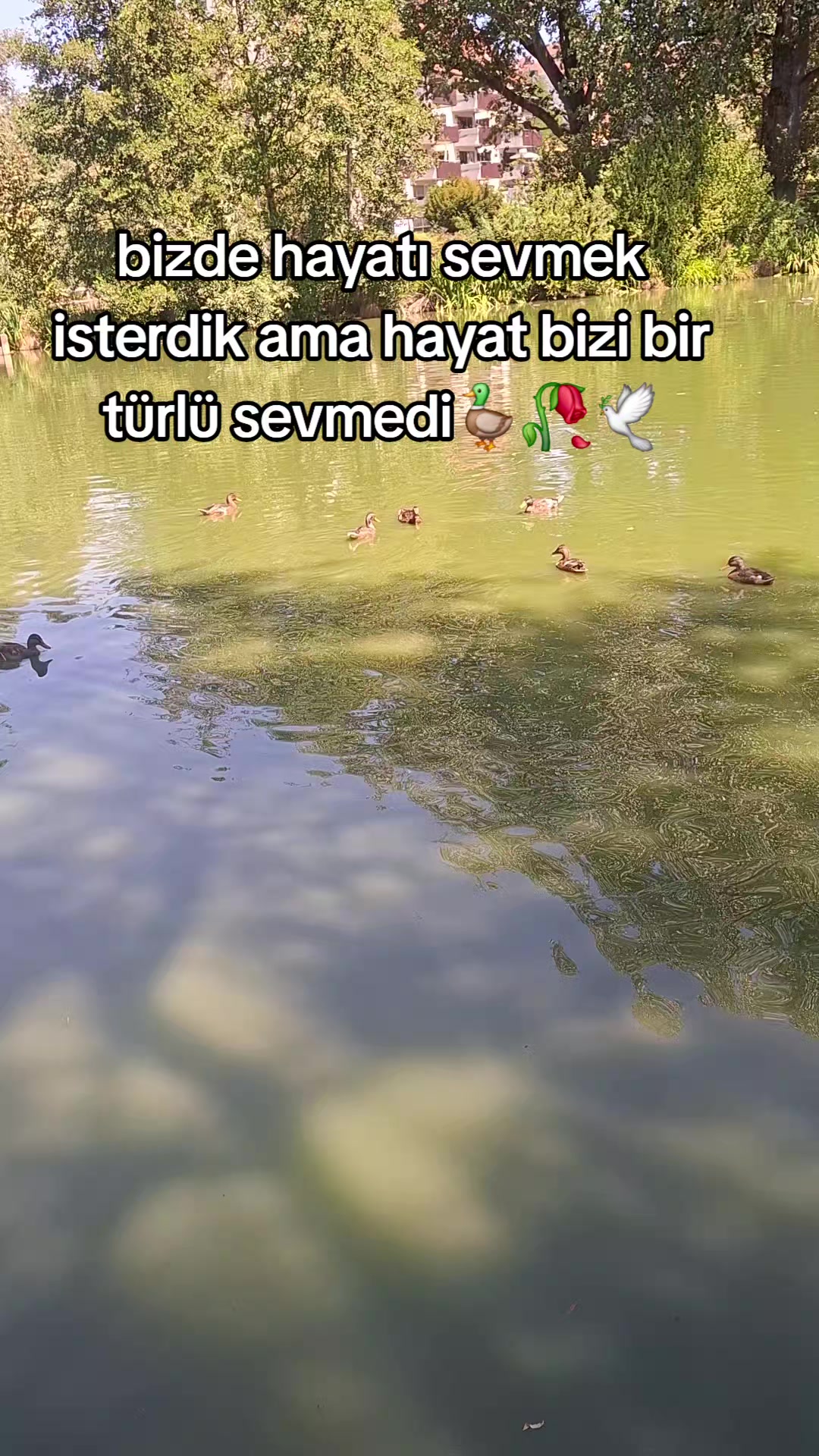 @🇩🇪 Yakamoz🦅