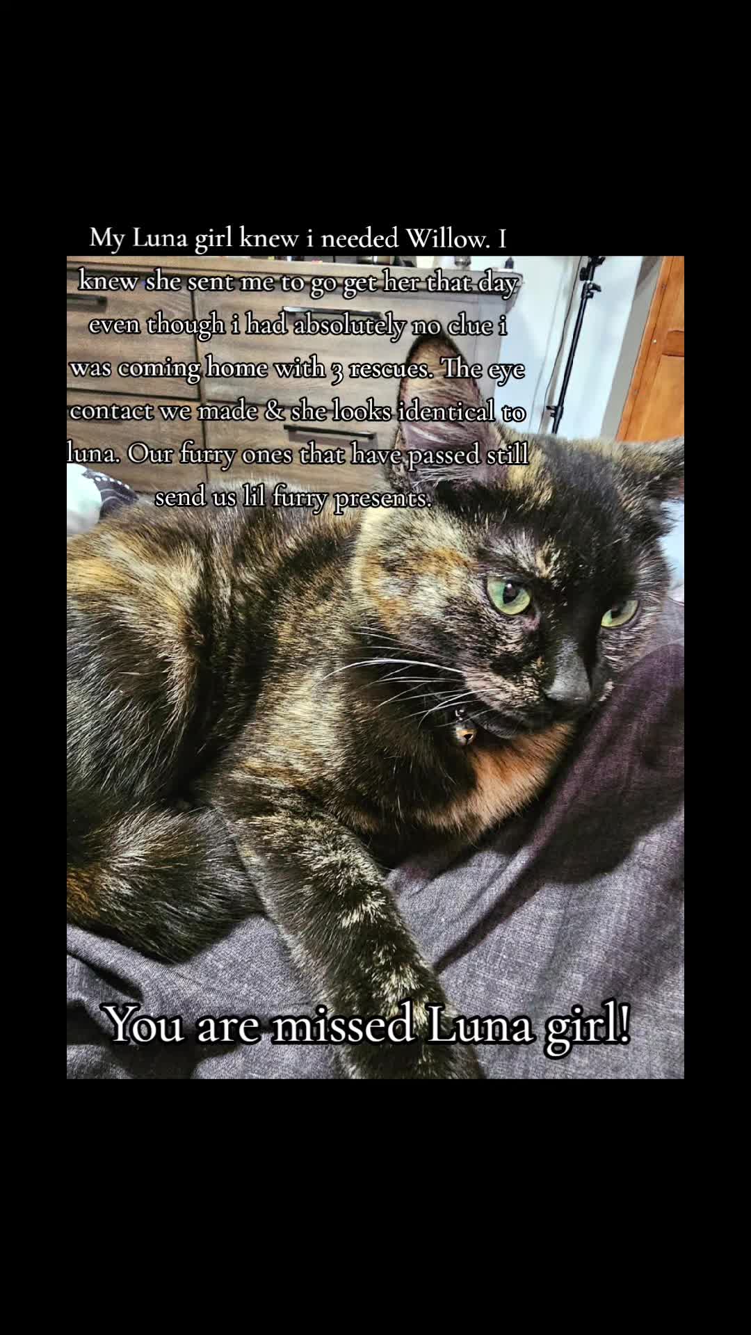 @⛧𝓣𝓱𝓪𝓽 𝓦𝓲𝓽𝓬𝓱 ⛧