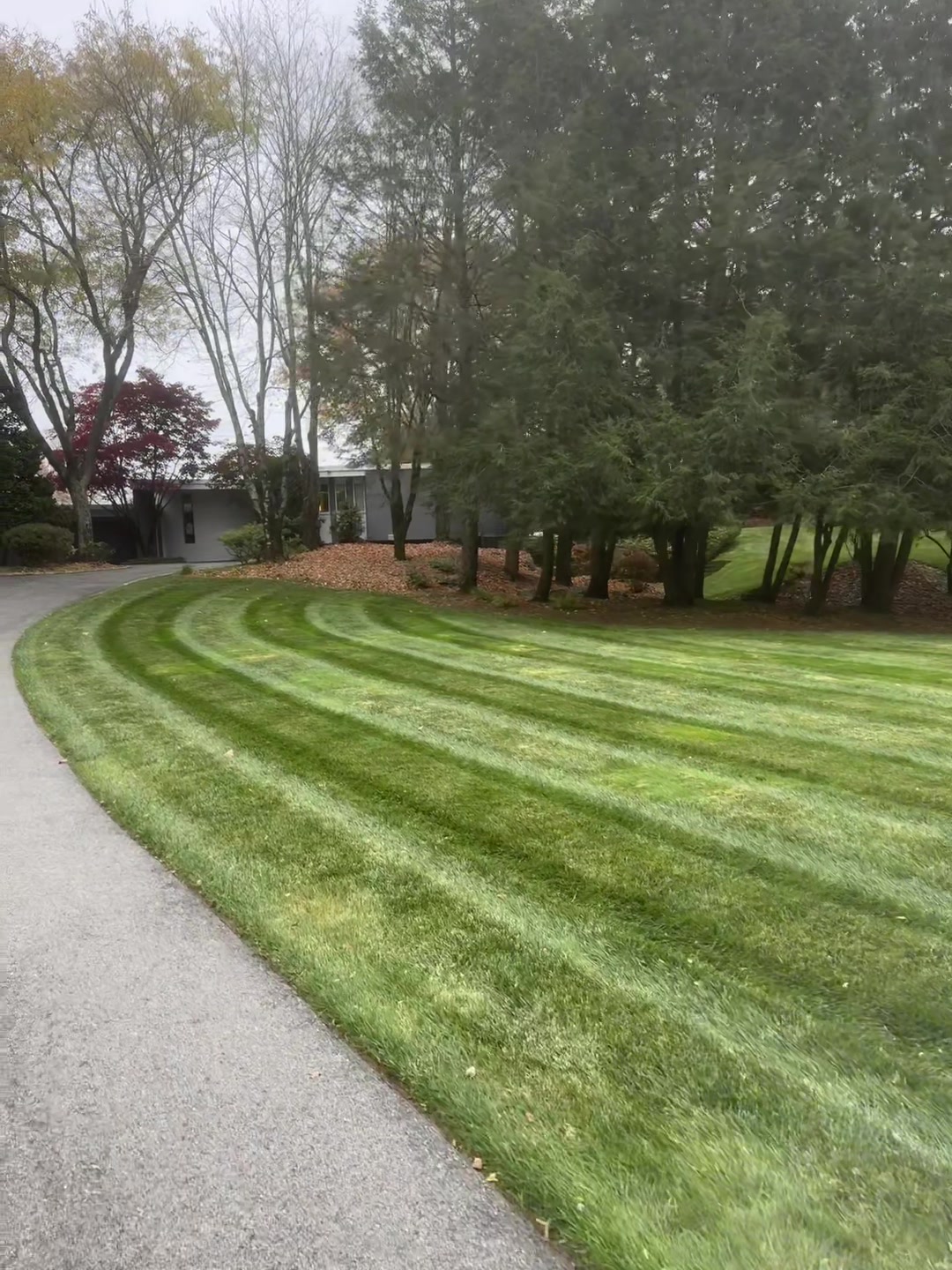 @Prestige landscaping ☘️🍃