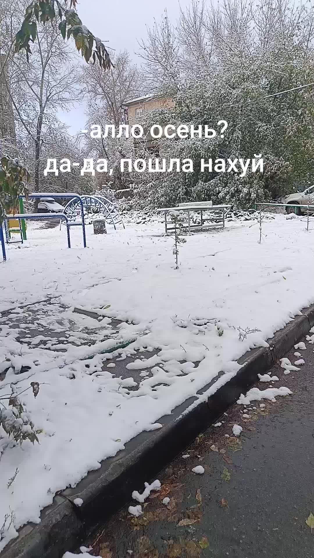 @целлофановая чехарда2.0