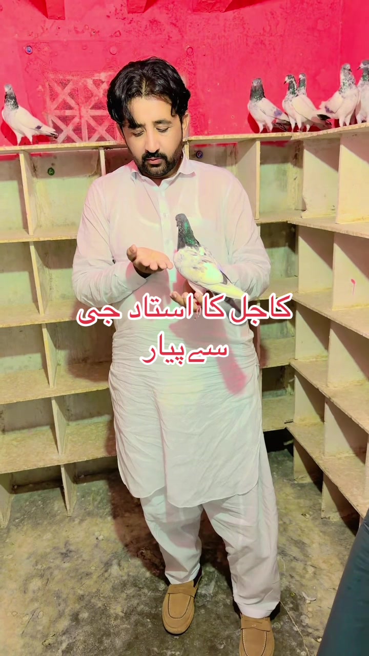 @Rameez Bhatti