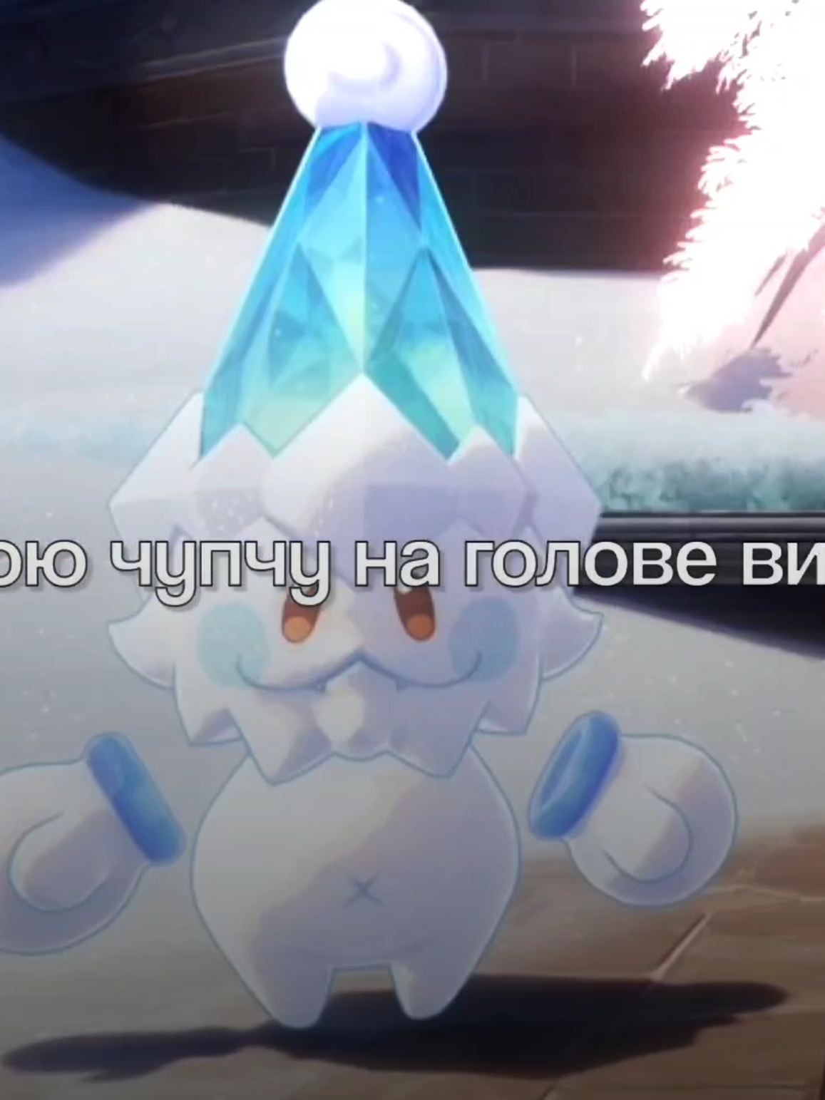 @кот