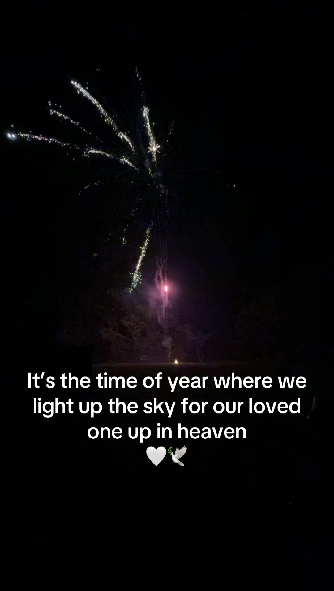 @taylorfam
