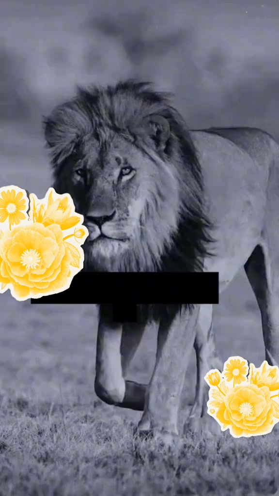 @ቅመም ነኝ የደሴዋ