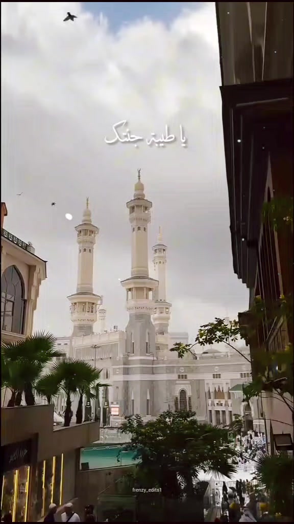 @রাত জাগা পাখি