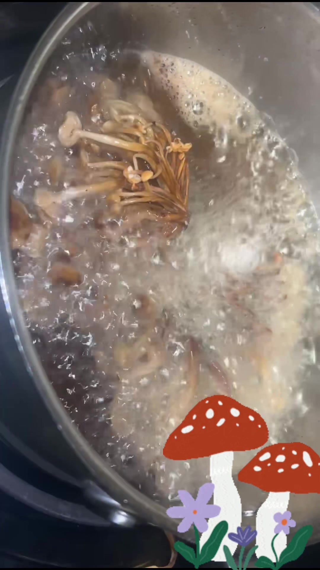 @Shee Seasoned😮💨♥️