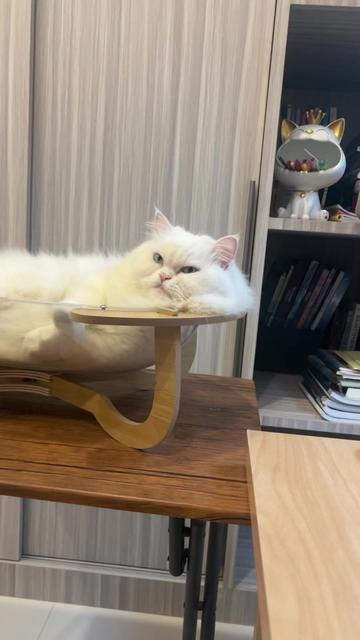 @KaewGrandma