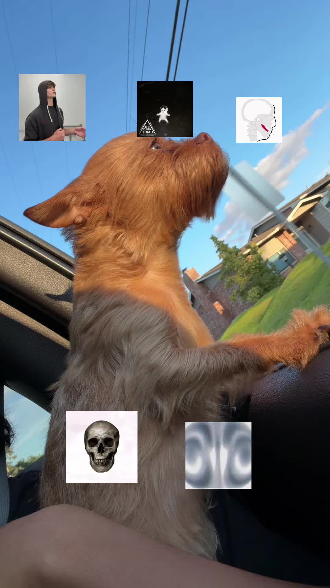 @thechudmeister6767