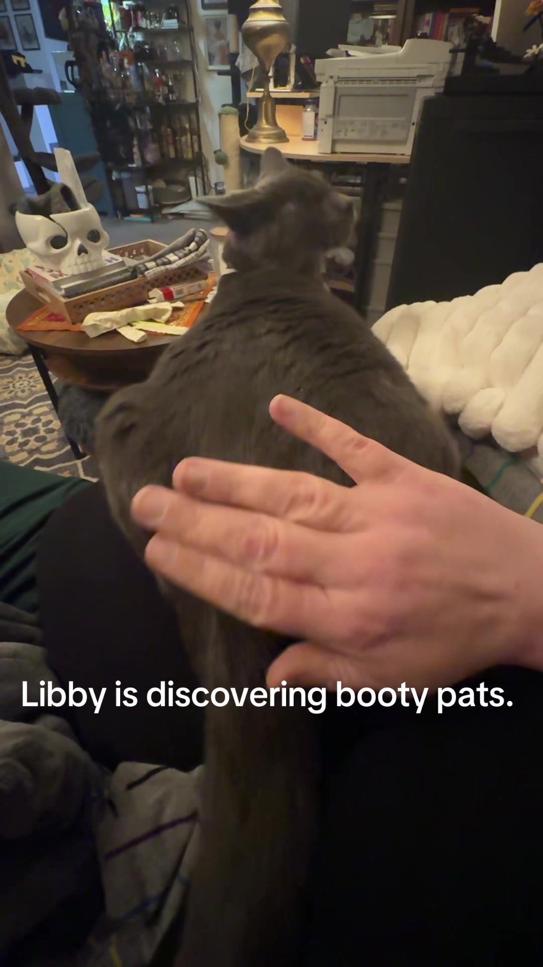 @my2blindcats