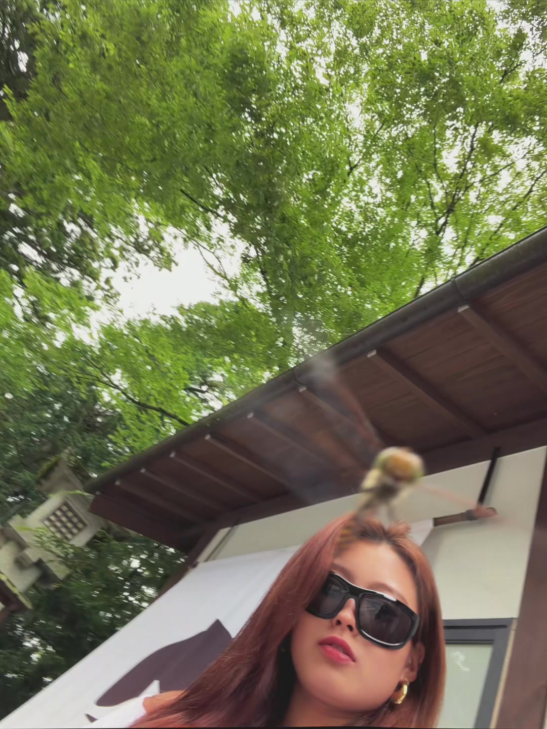 @恋々夏