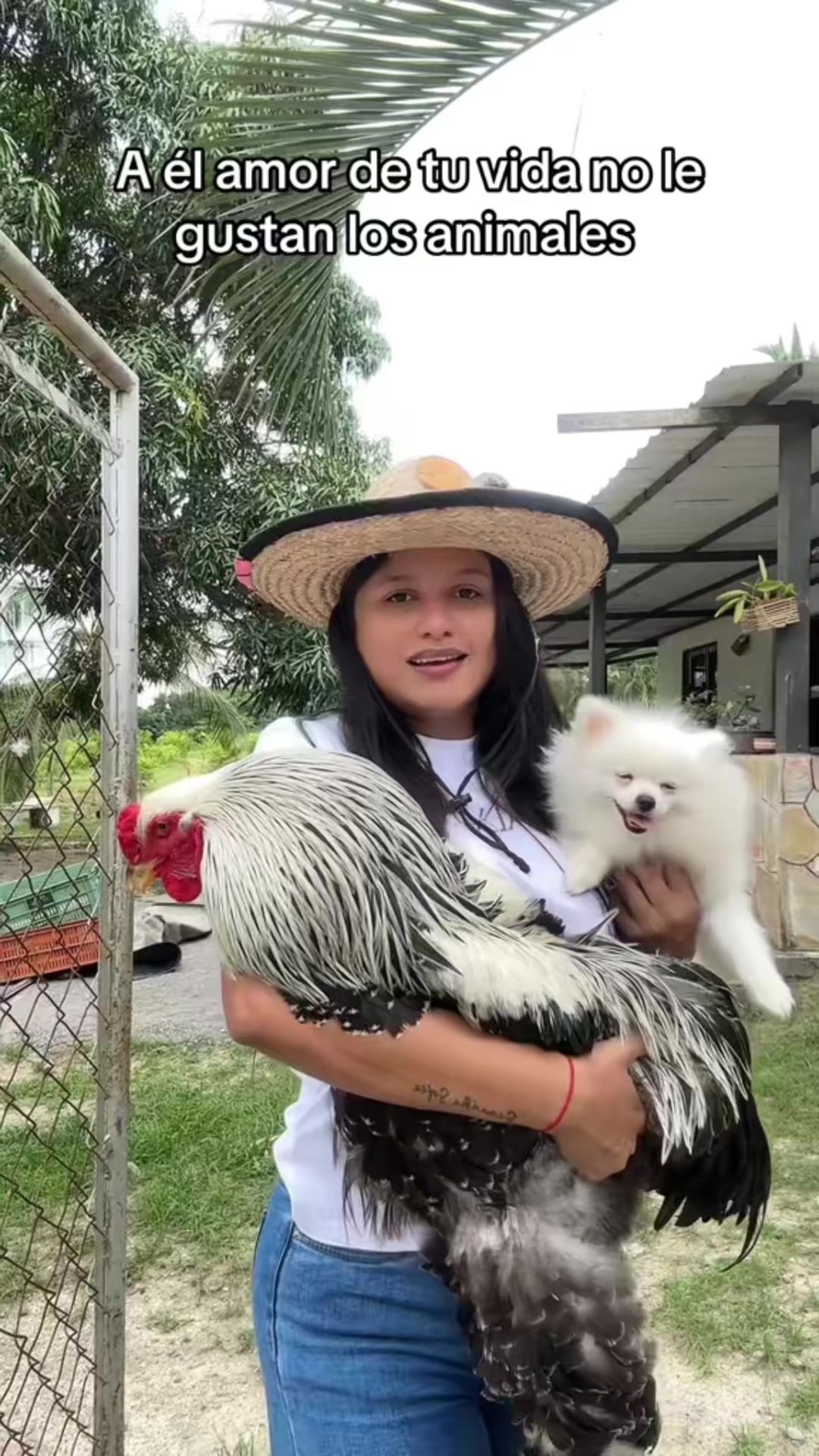 @Granjamascotalandiayaracuy