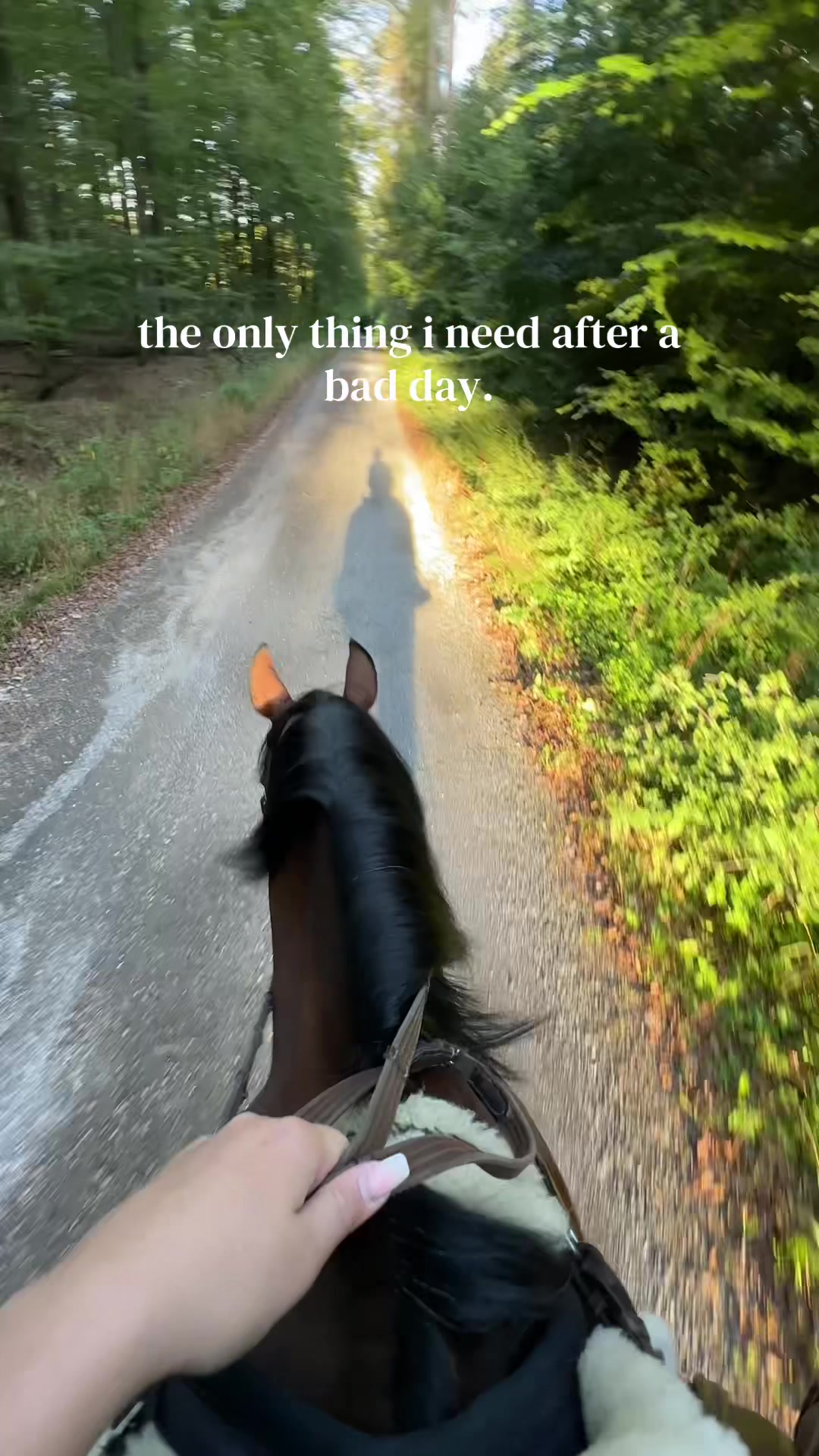 @callitoos.horselife