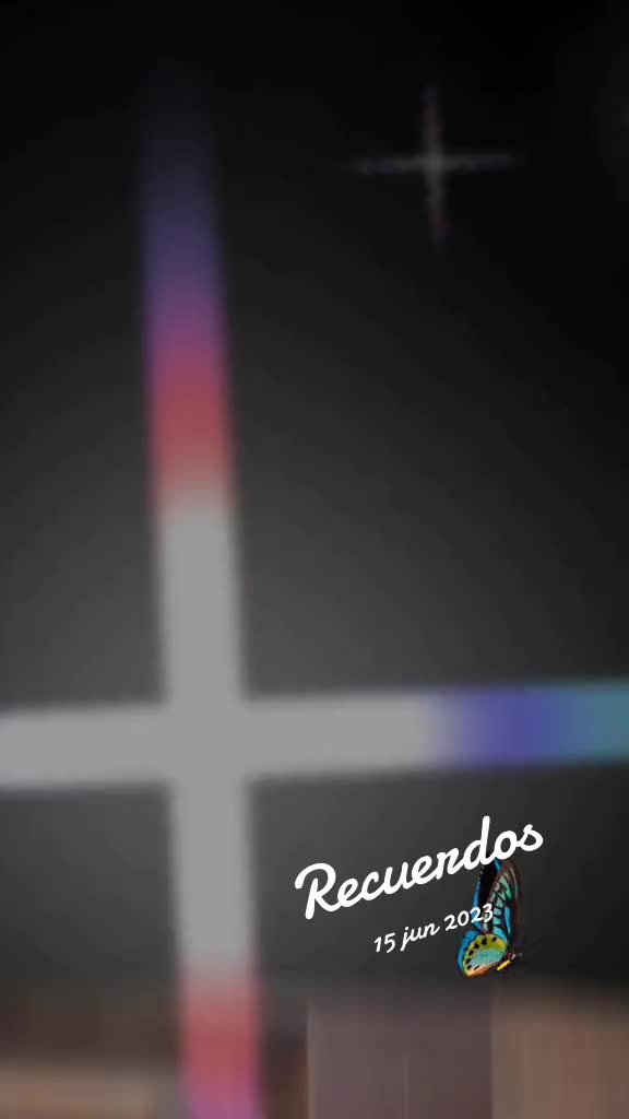@vivi3224