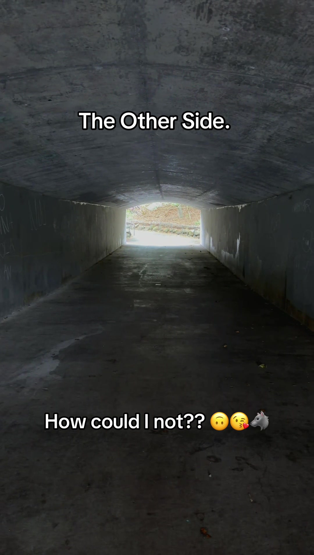 @brie_be_ontiktok