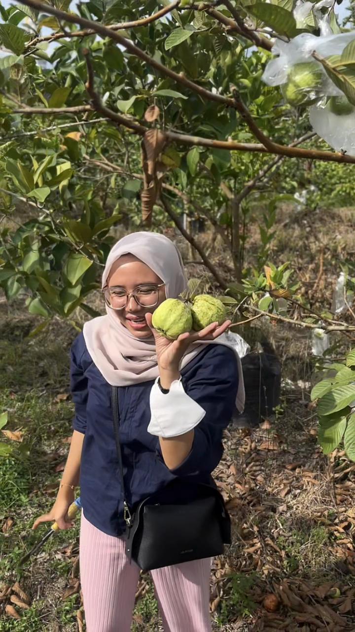 @siapayaa?