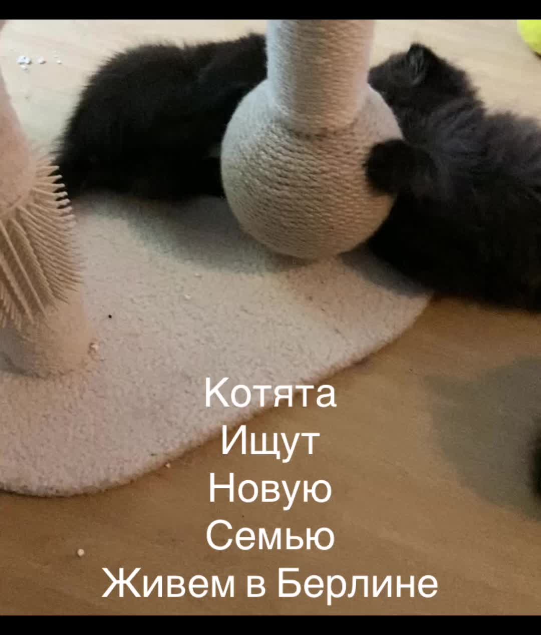 @ВИКУСЯ ЯСНОВИДЯЩАЯ