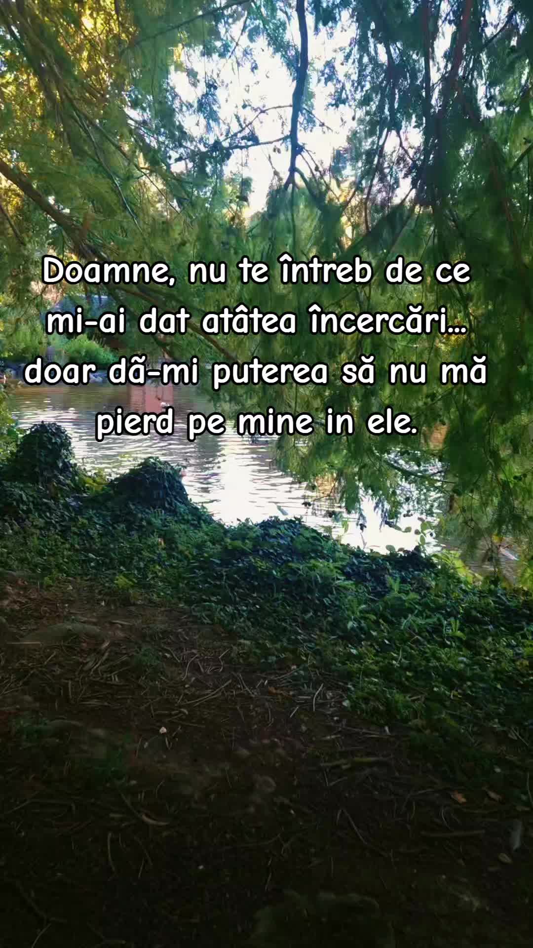 @Cristina Lautaru
