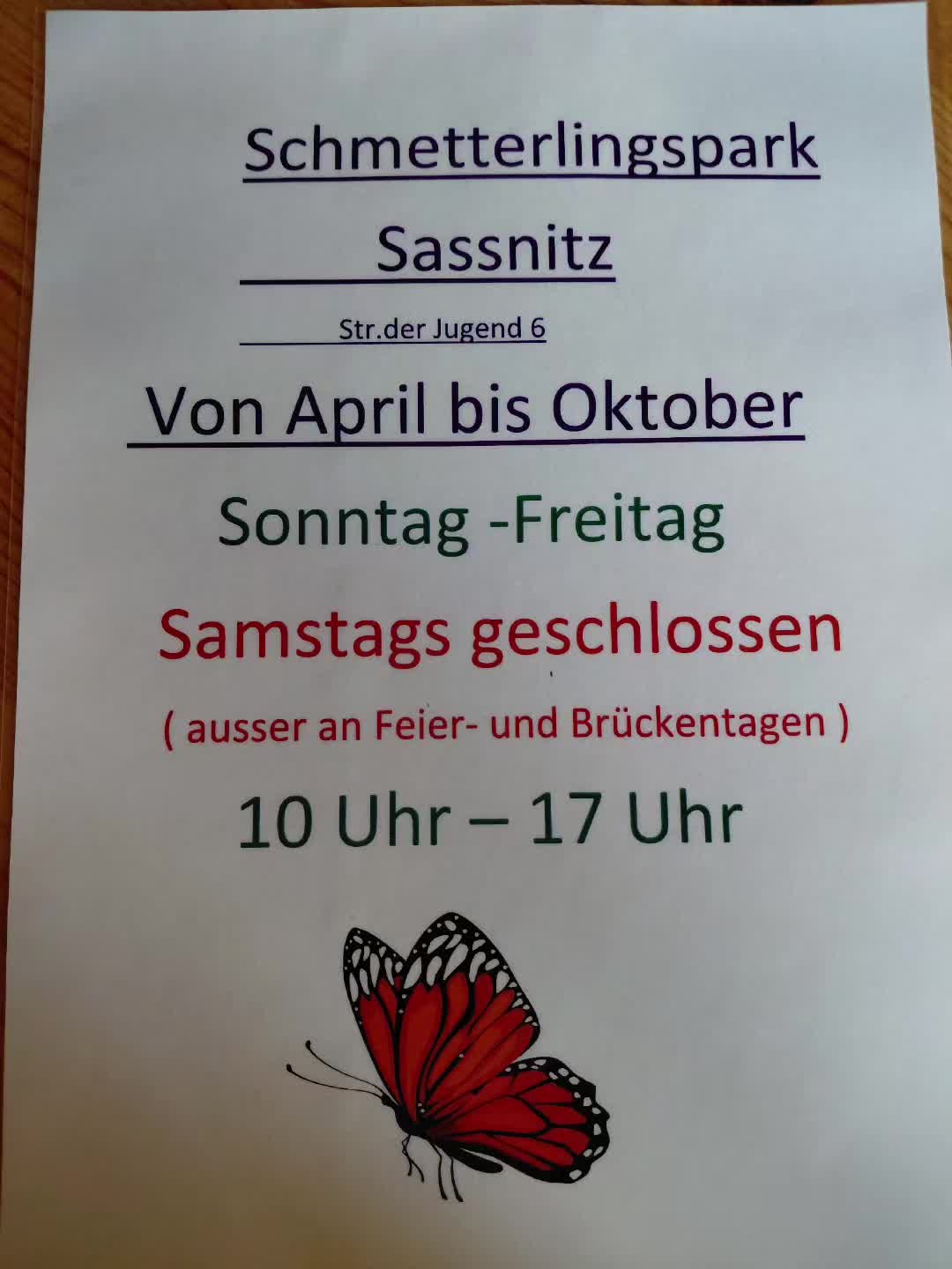 @°~♡ inselbewohnerin ♡~°