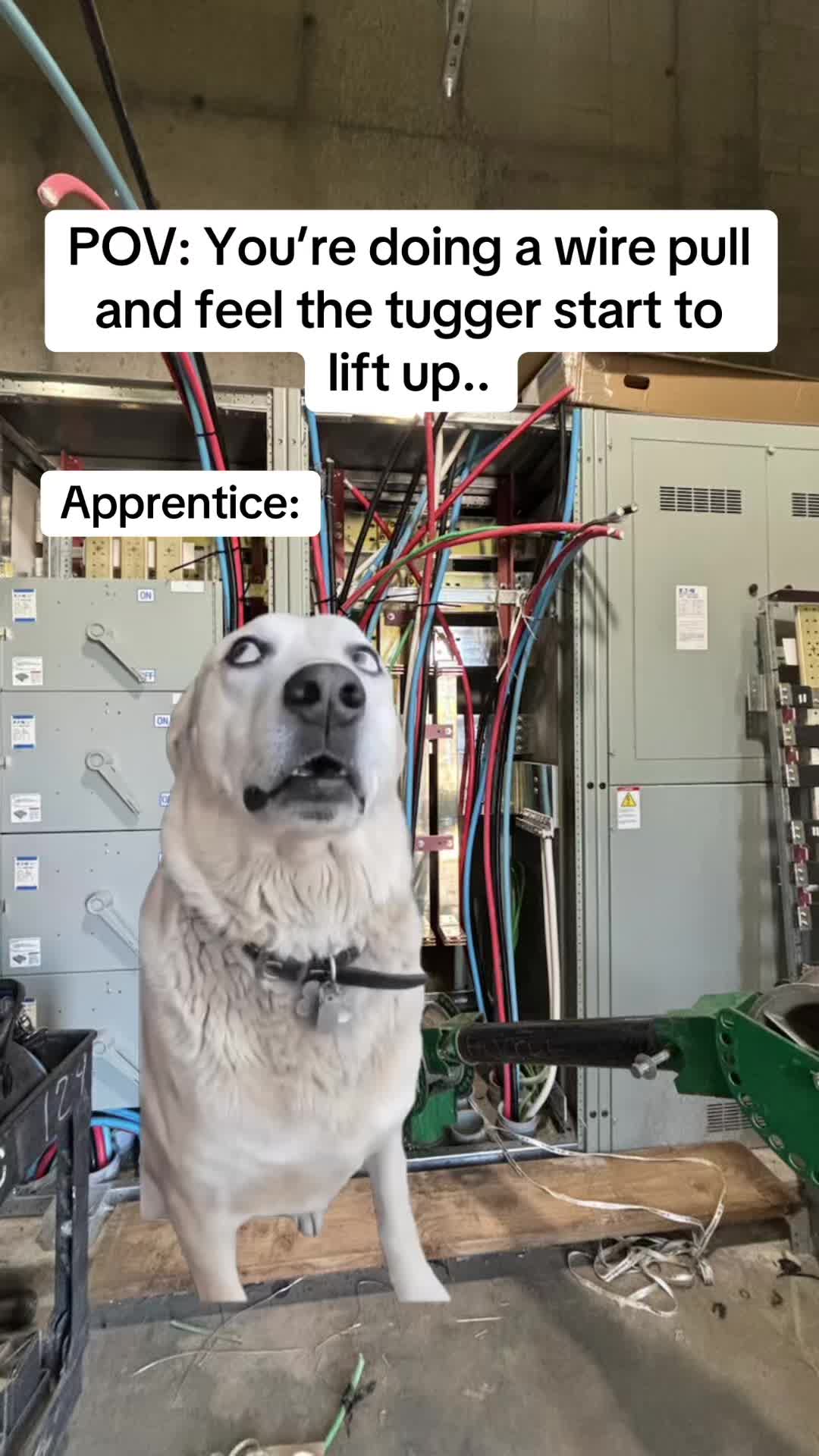 @Electrical_pov