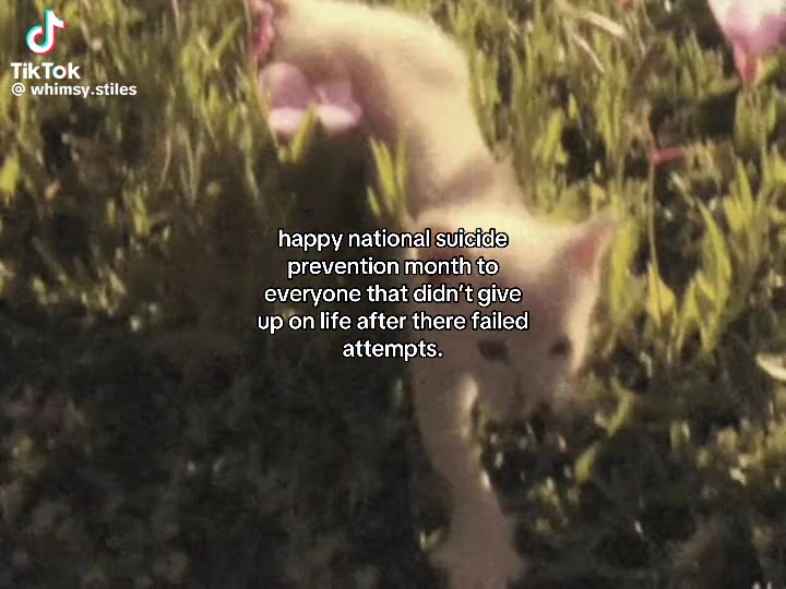 @🪽✞𝓢𝓪𝓶✩⭐️