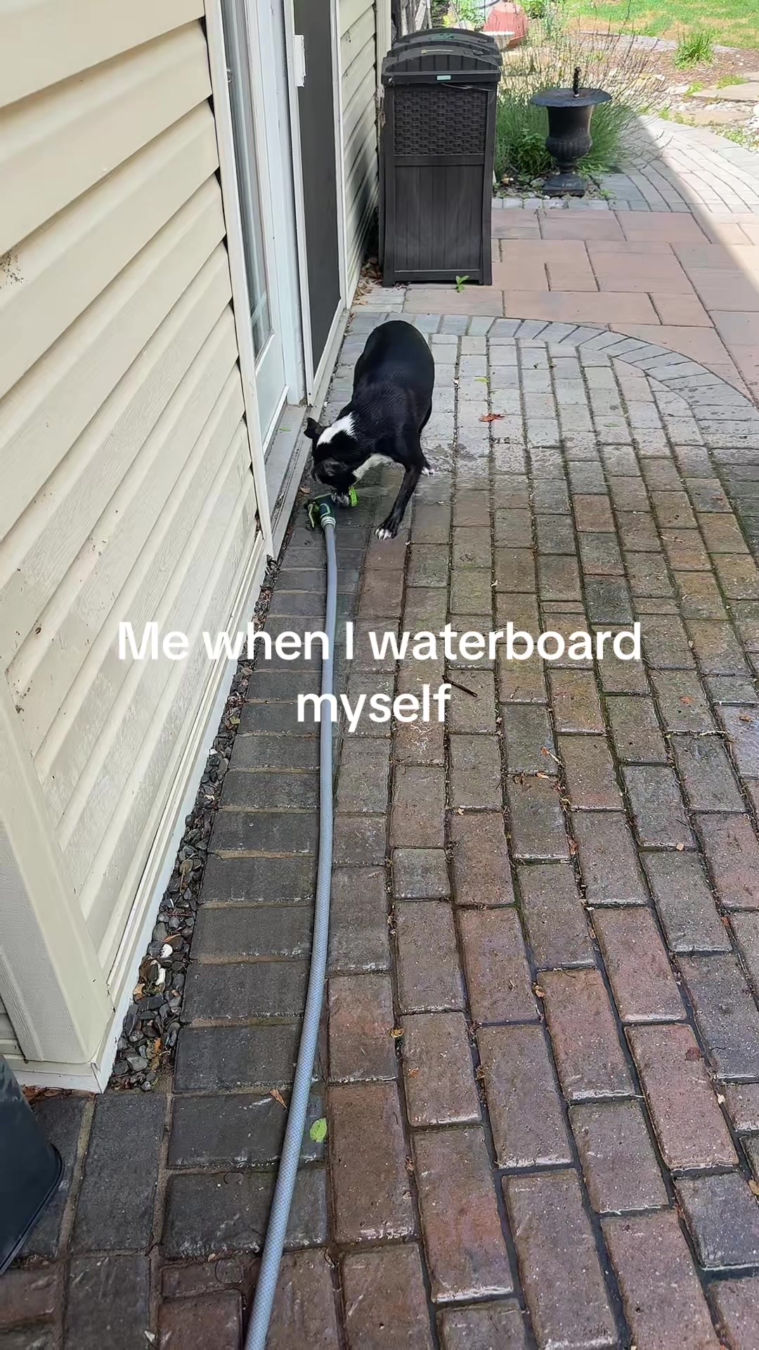 @lil