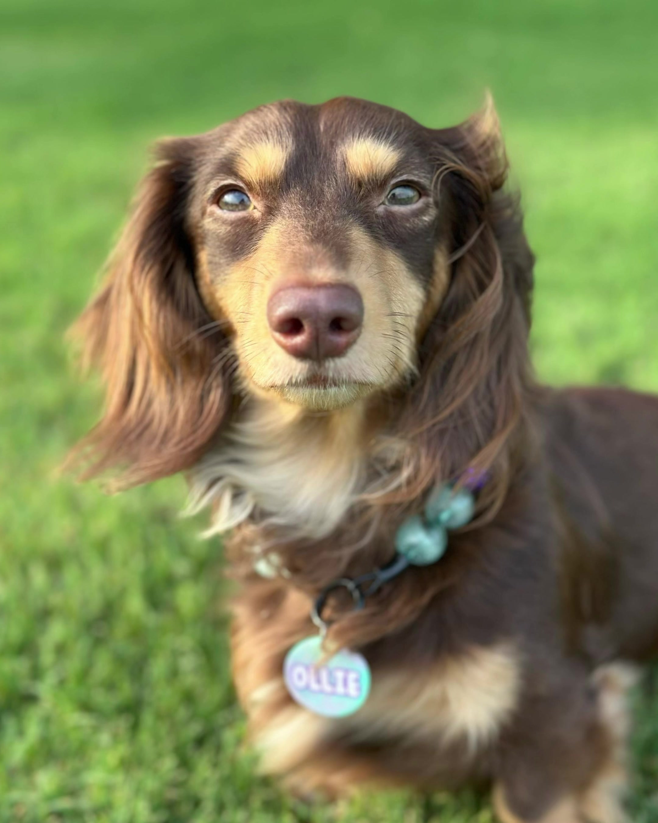 @@ballparkdoxies