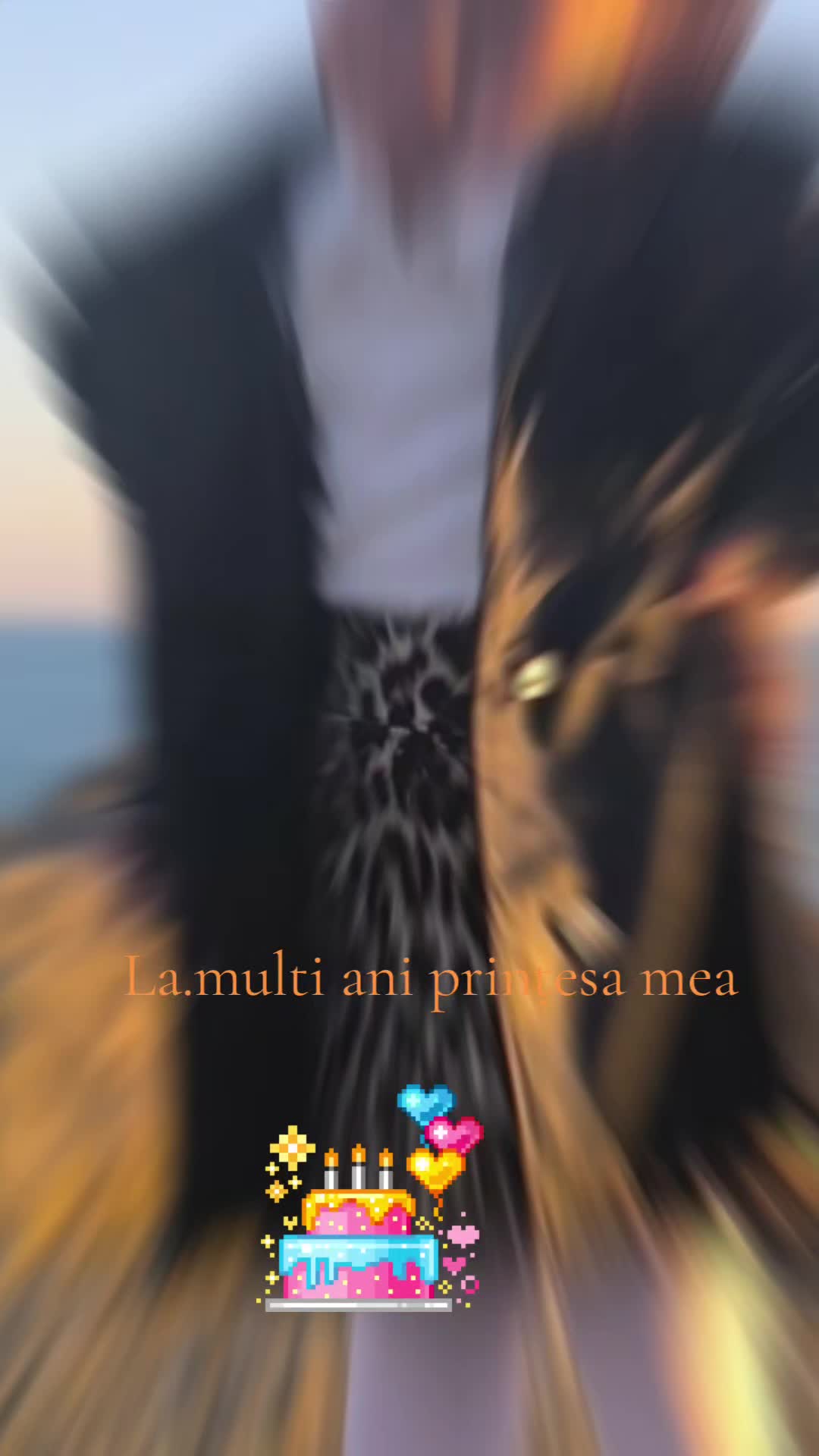 @Dana Mihai