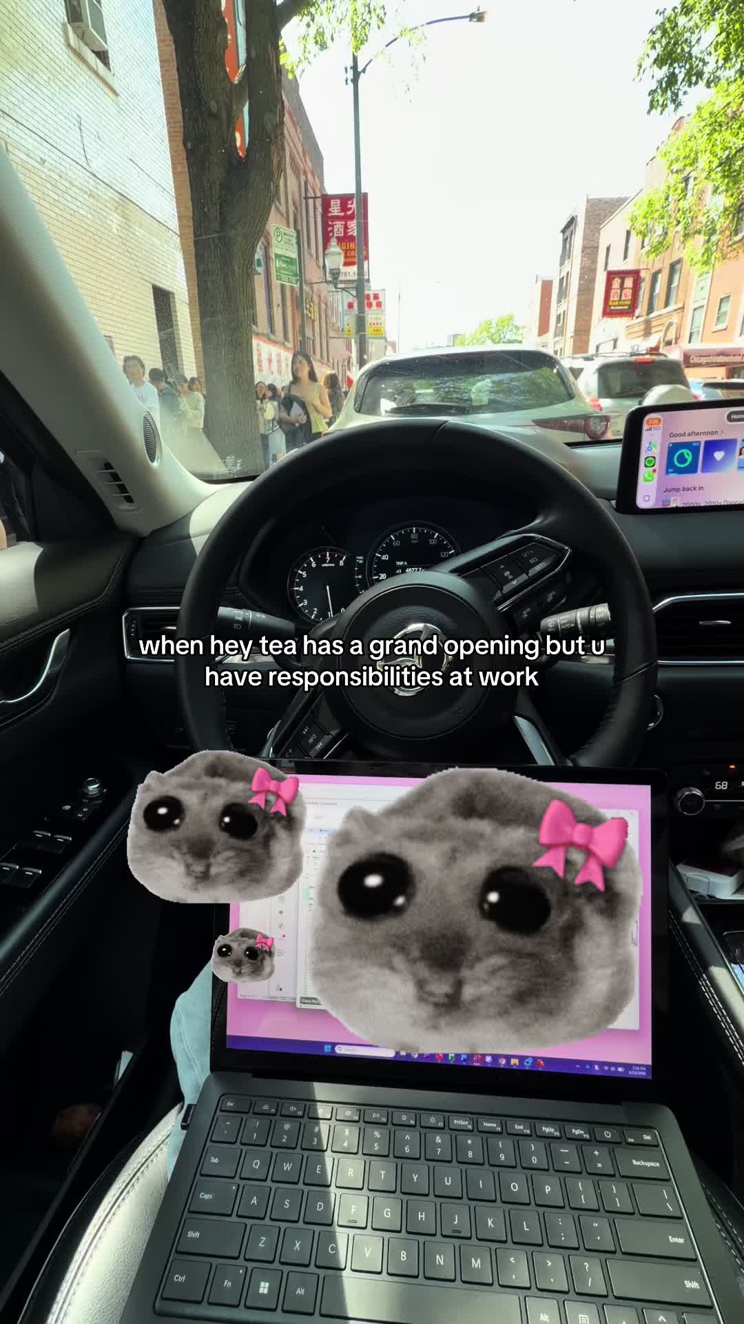 @🦔🫧