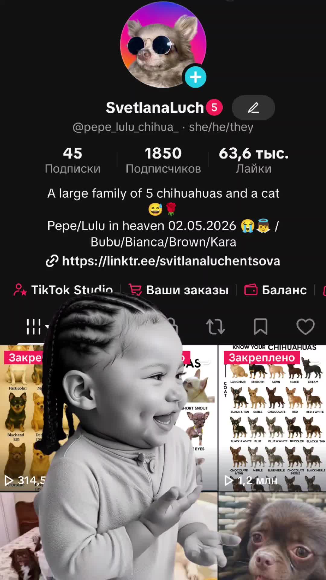 @SvetlanaLuch