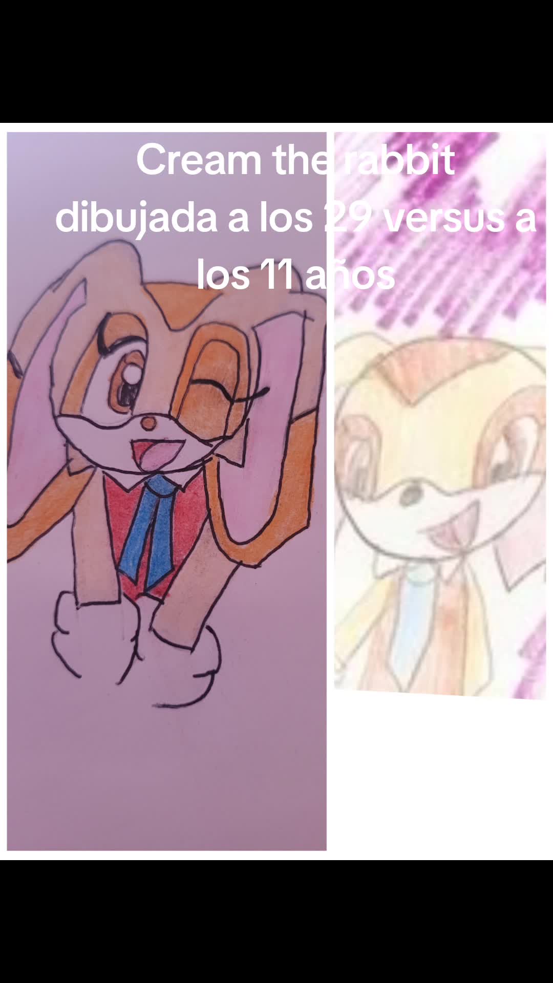 @Rosy Elena Araneda Andrade