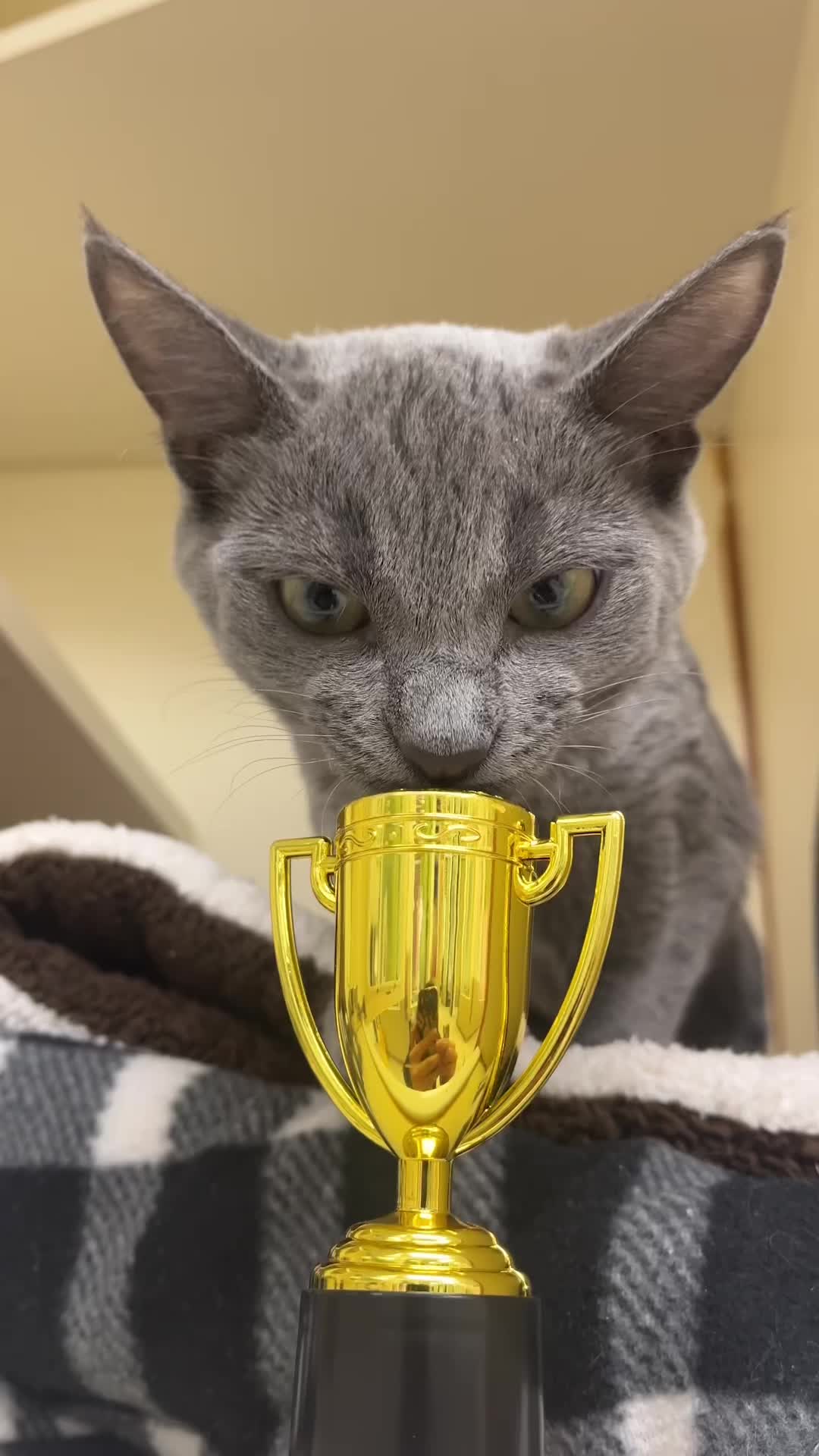 @animalhumanenm