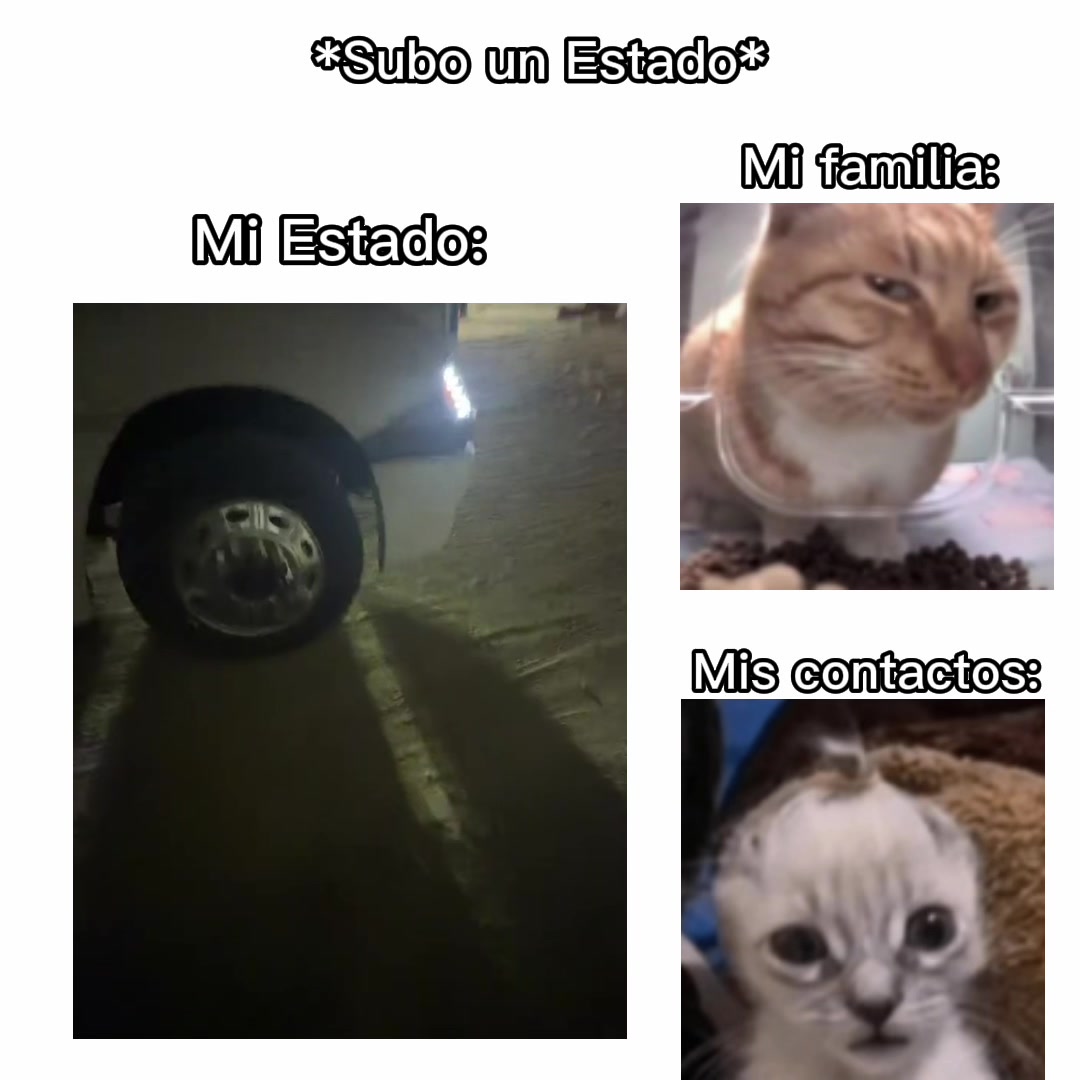 @Judith Rodriguez