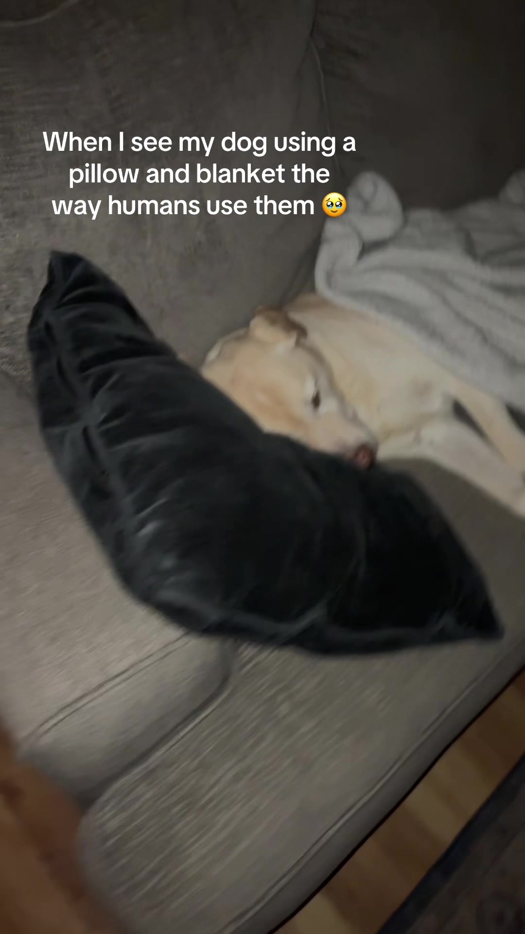 @emma <3