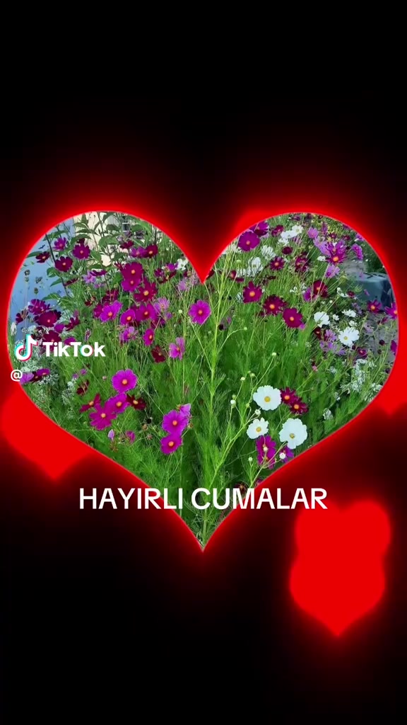 @Meral üner 51