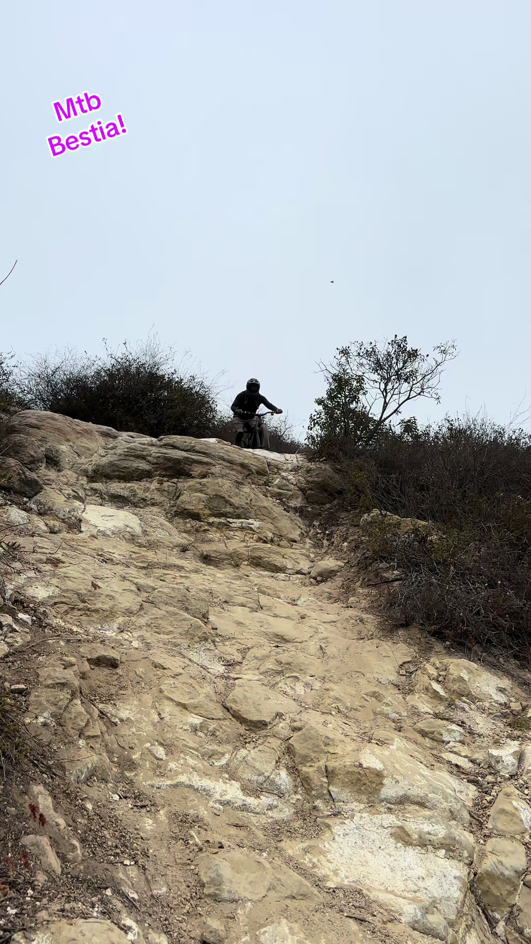 @Mtb BESTIA!