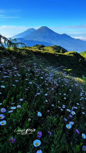 @LangitSenja_Trip
