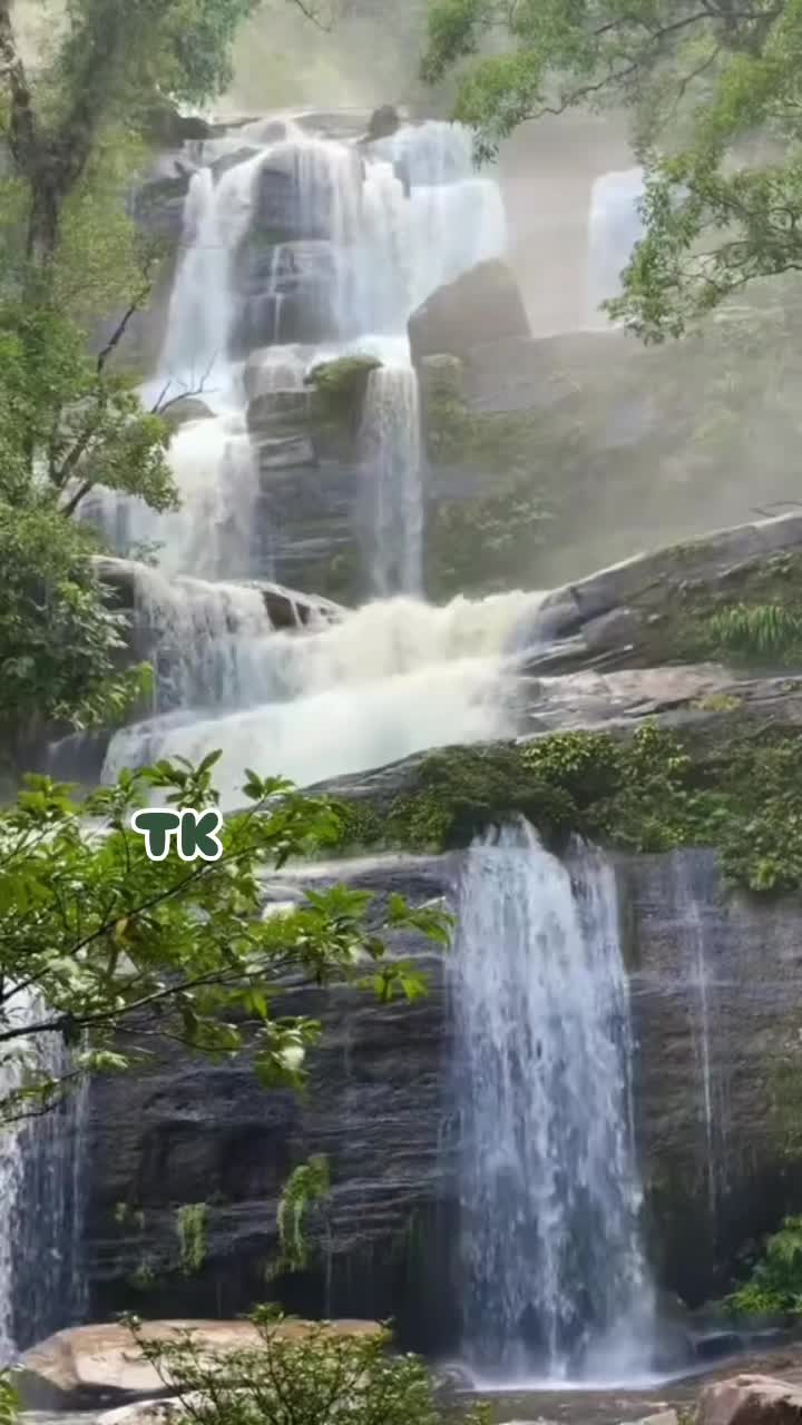 @❤️ TK ❤️
