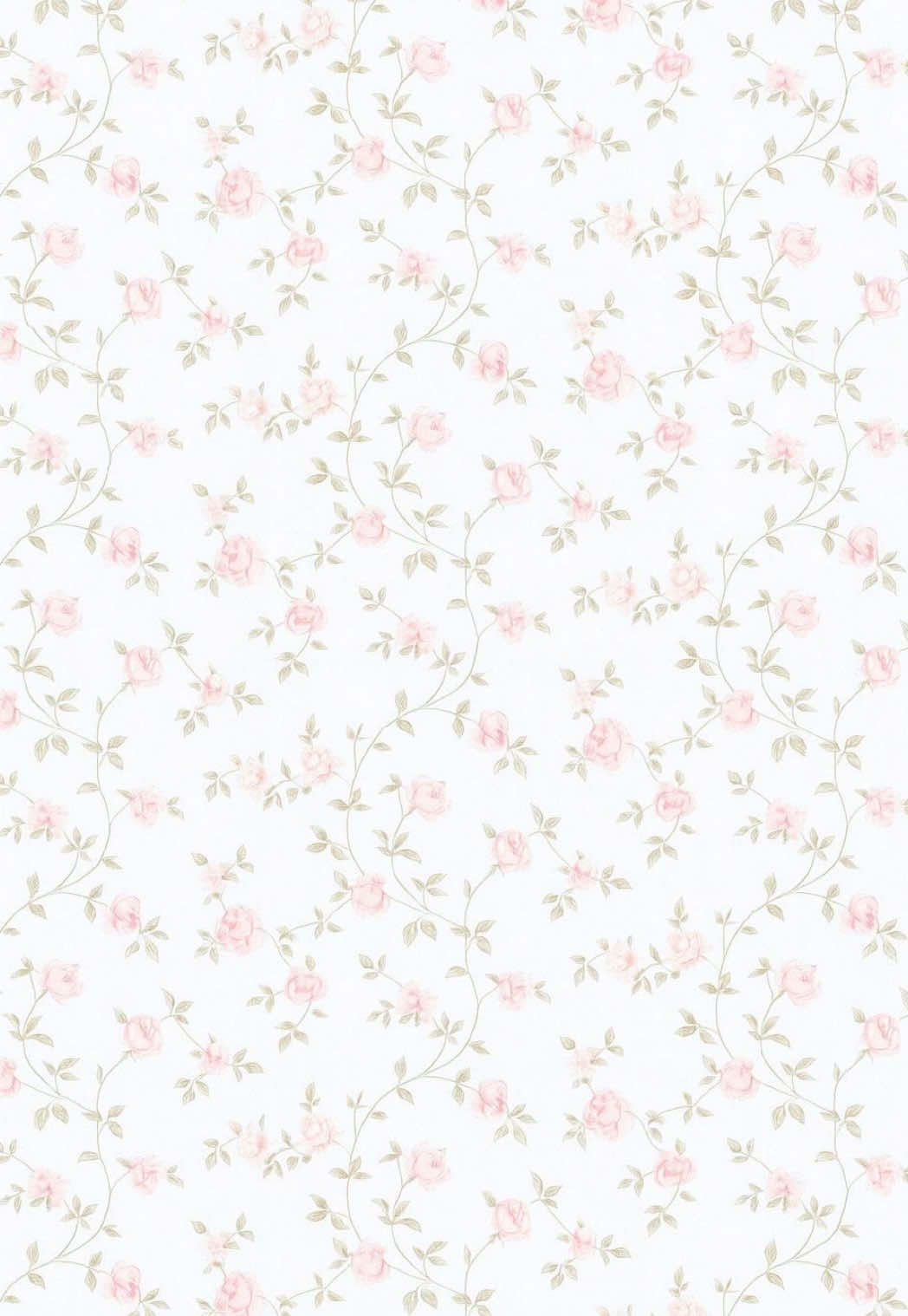 @𝓒𝓸𝓬𝓸𝓵𝓮𝓽𝓽𝓮💌