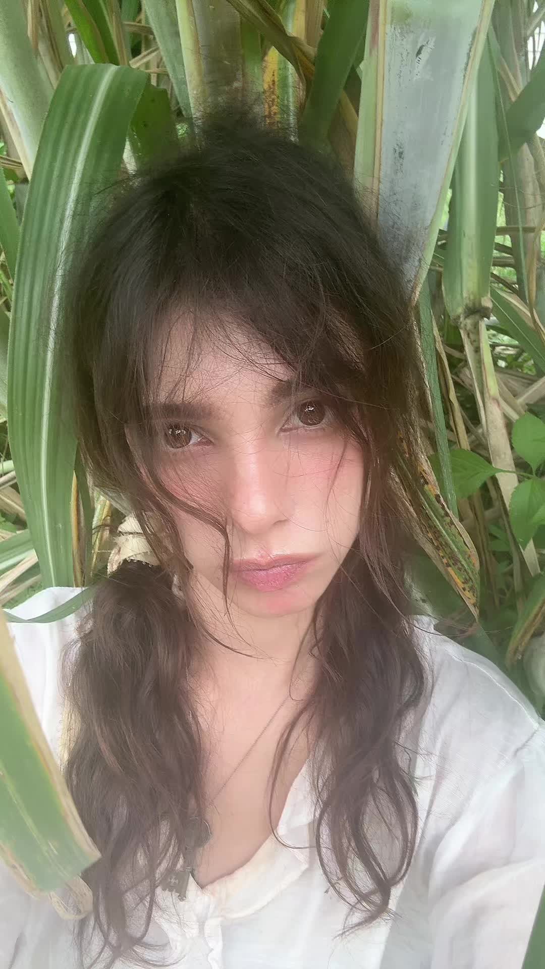 @True fairy jane