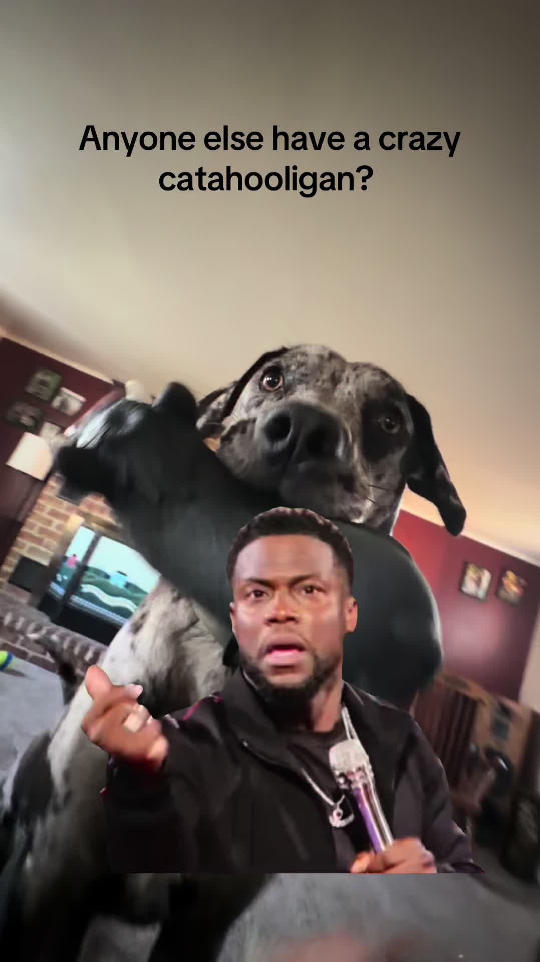 @thebranditemple