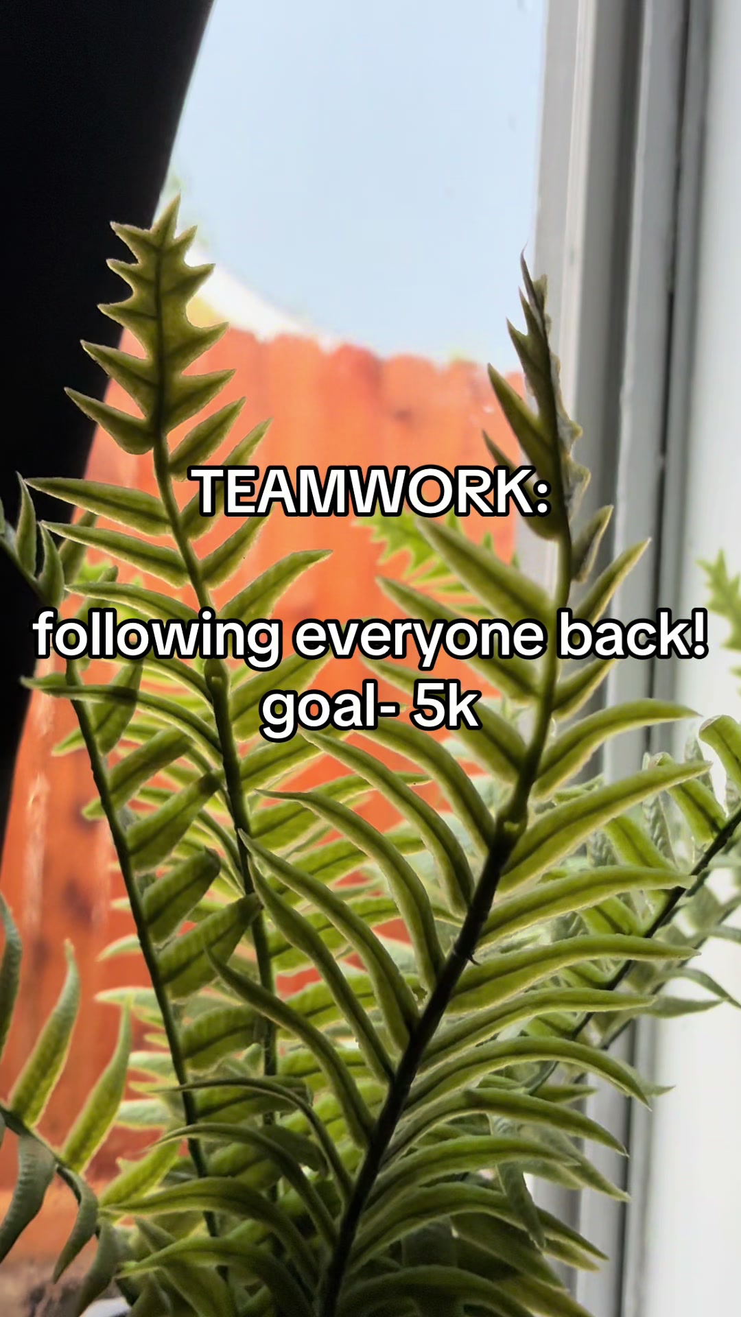 @legendarydealss