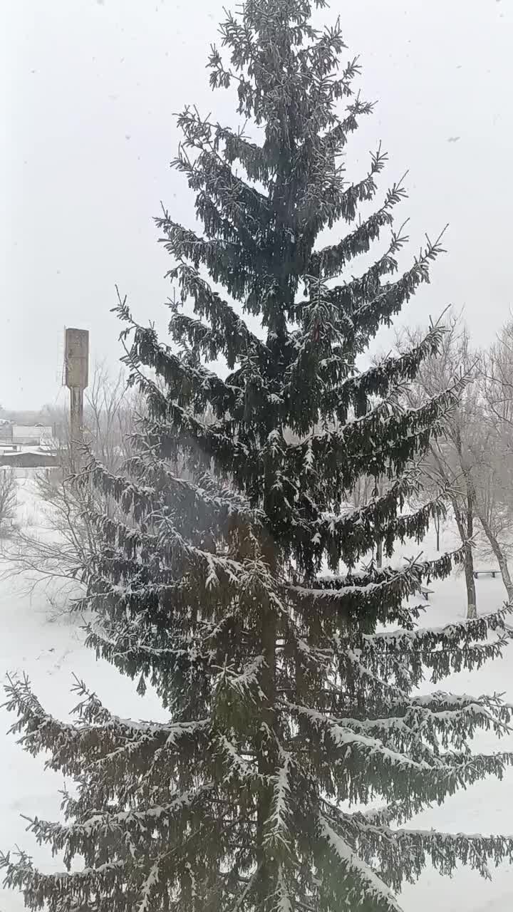 @Elena08061988