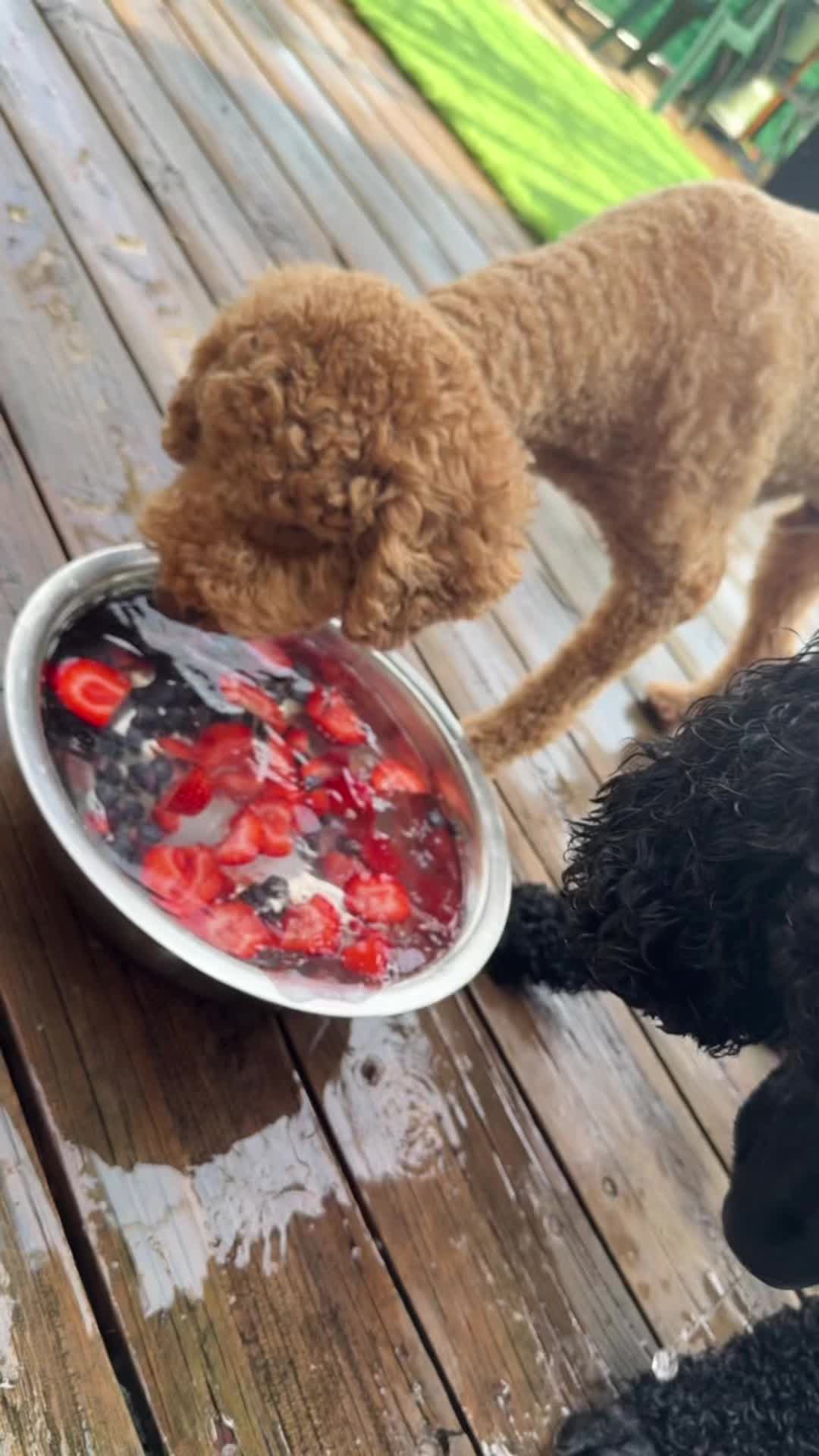 @packwalkdiaries